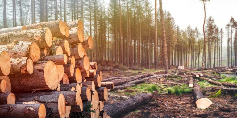 Regulate-harvesting-activities-Skymantics